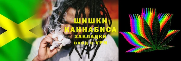 гидра Каменногорск