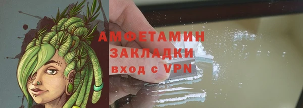 хмурый Каменка